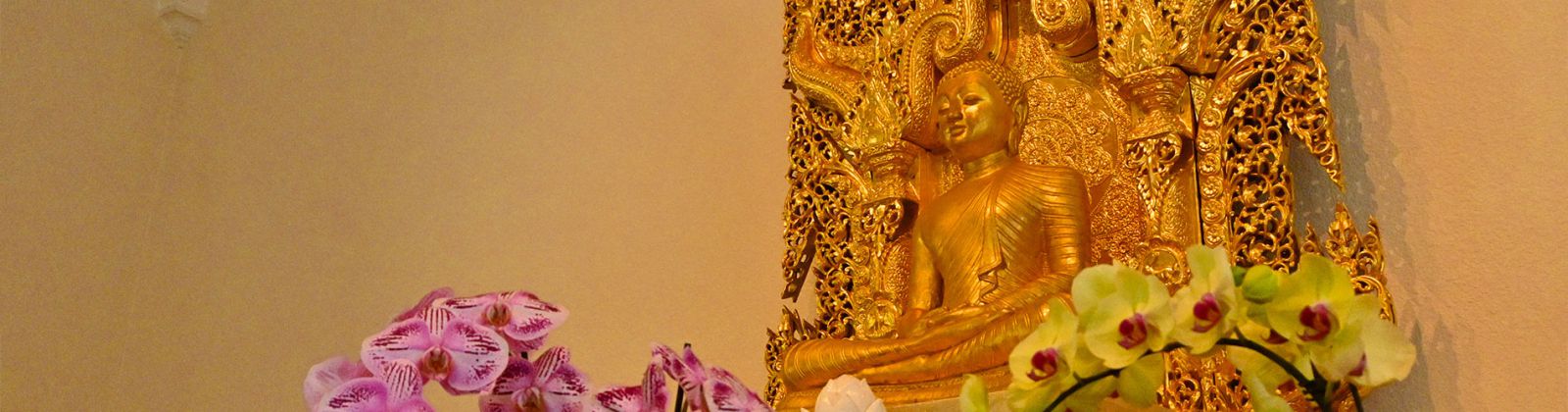 Welcome to Tathagata Meditation Center